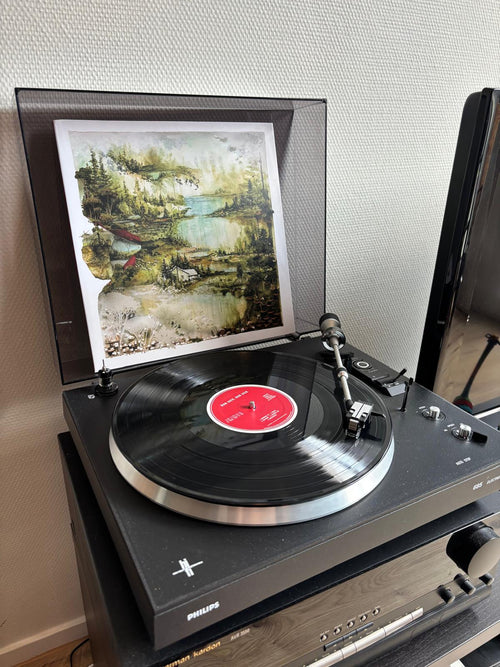 Bon Iver - Bon iver, Bon Iver (Vinyl)