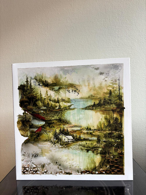 Bon Iver - Bon iver, Bon Iver (Vinyl)